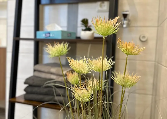 Zum Neuhäusel Apartment *